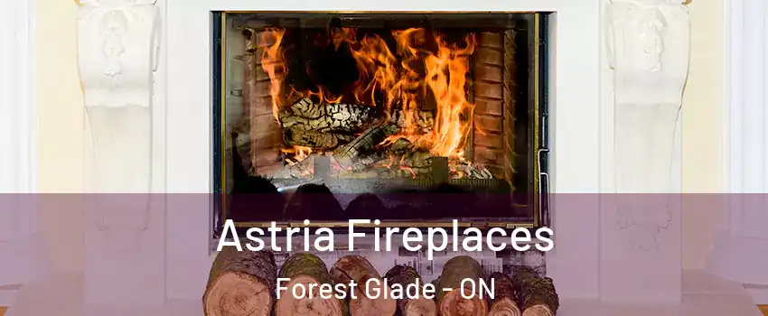  Astria Fireplaces Forest Glade - ON