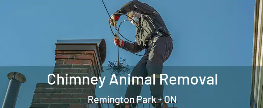 Chimney Animal Removal Remington Park - ON