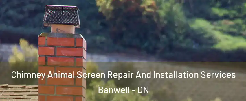  Chimney Animal Screen Repair And Installation Services Banwell - ON