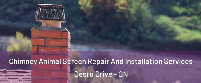  Chimney Animal Screen Repair And Installation Services Desro Drive - ON