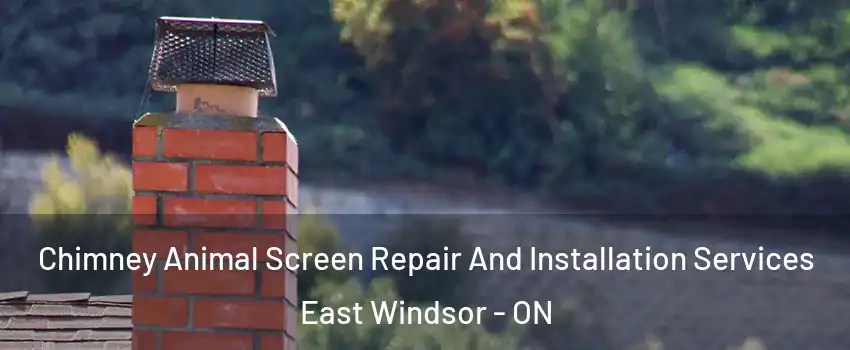  Chimney Animal Screen Repair And Installation Services East Windsor - ON