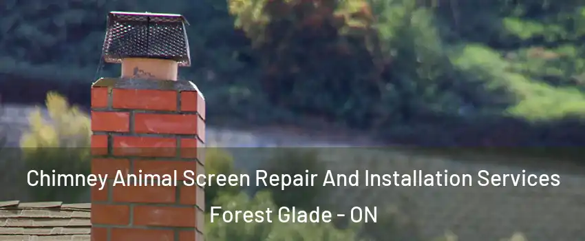  Chimney Animal Screen Repair And Installation Services Forest Glade - ON