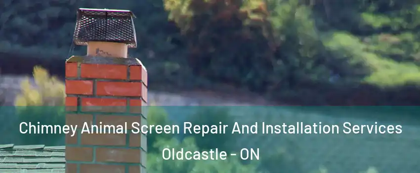  Chimney Animal Screen Repair And Installation Services Oldcastle - ON