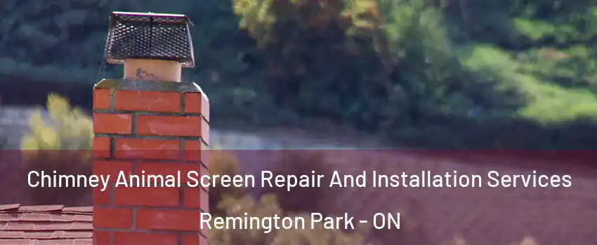  Chimney Animal Screen Repair And Installation Services Remington Park - ON