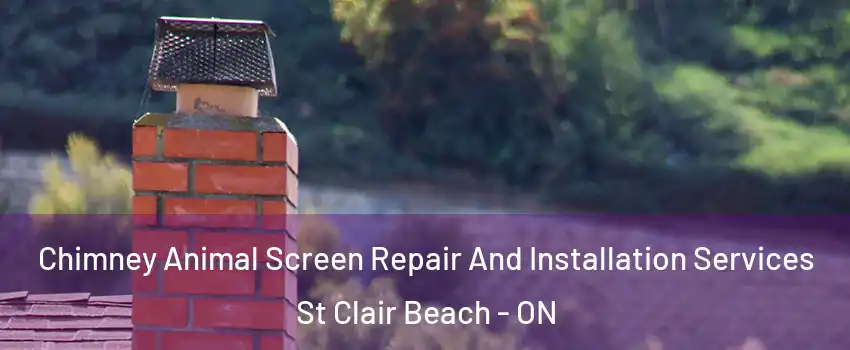  Chimney Animal Screen Repair And Installation Services St Clair Beach - ON