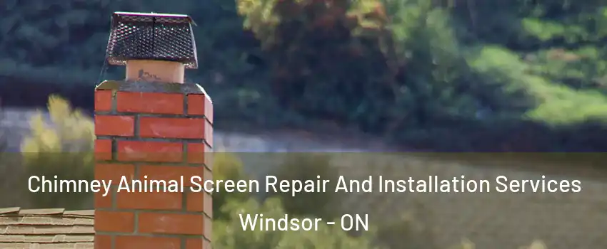  Chimney Animal Screen Repair And Installation Services Windsor - ON