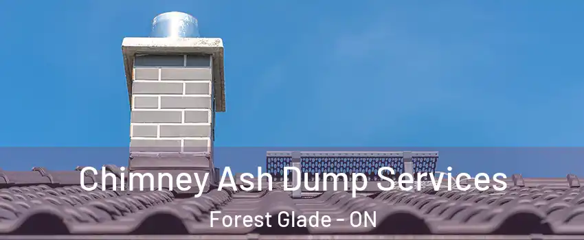  Chimney Ash Dump Services Forest Glade - ON