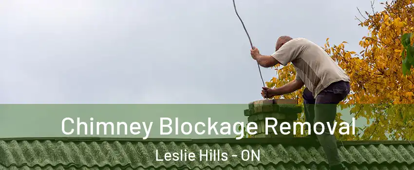  Chimney Blockage Removal Leslie Hills - ON