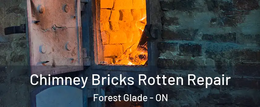  Chimney Bricks Rotten Repair Forest Glade - ON