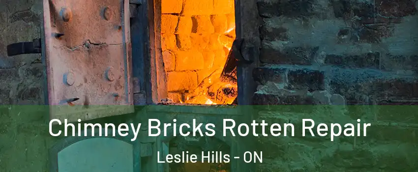  Chimney Bricks Rotten Repair Leslie Hills - ON