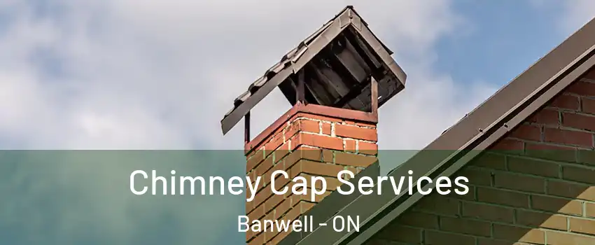  Chimney Cap Services Banwell - ON