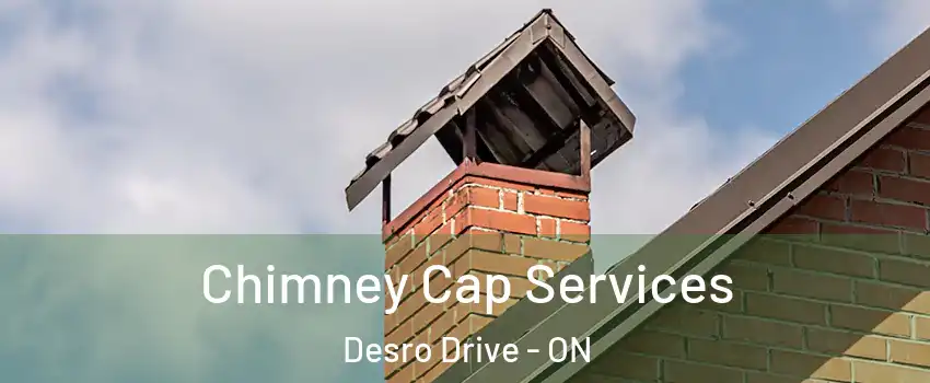 Chimney Cap Services Desro Drive - ON