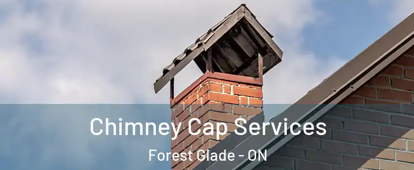  Chimney Cap Services Forest Glade - ON