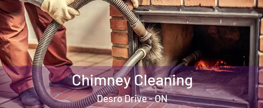 Chimney Cleaning Desro Drive - ON