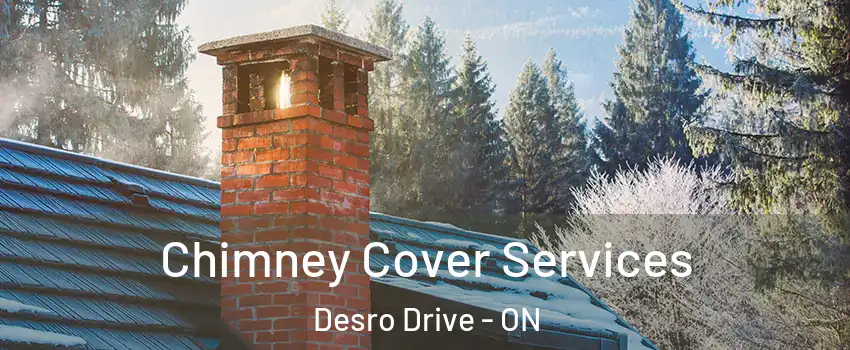 Chimney Cover Services Desro Drive - ON