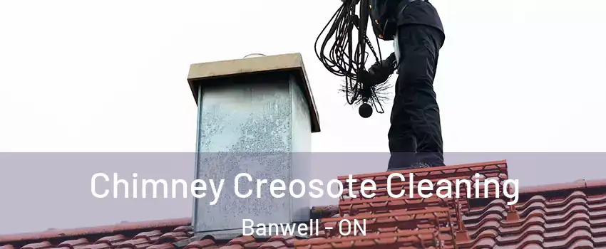  Chimney Creosote Cleaning Banwell - ON