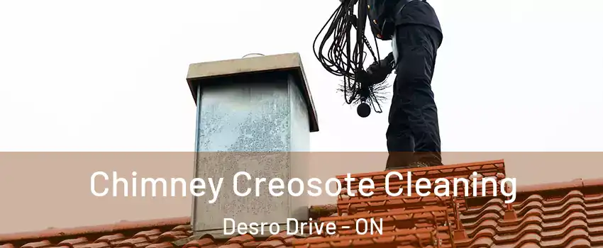 Chimney Creosote Cleaning Desro Drive - ON
