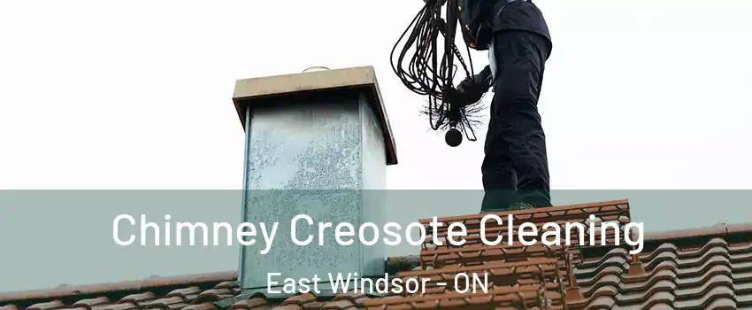  Chimney Creosote Cleaning East Windsor - ON