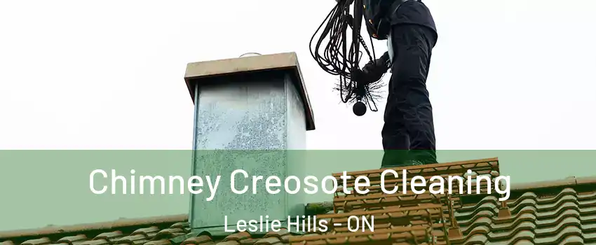  Chimney Creosote Cleaning Leslie Hills - ON