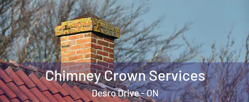 Chimney Crown Services Desro Drive - ON
