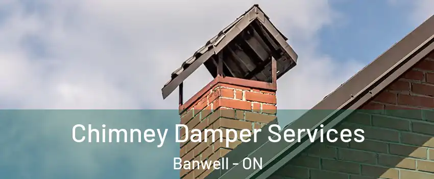  Chimney Damper Services Banwell - ON