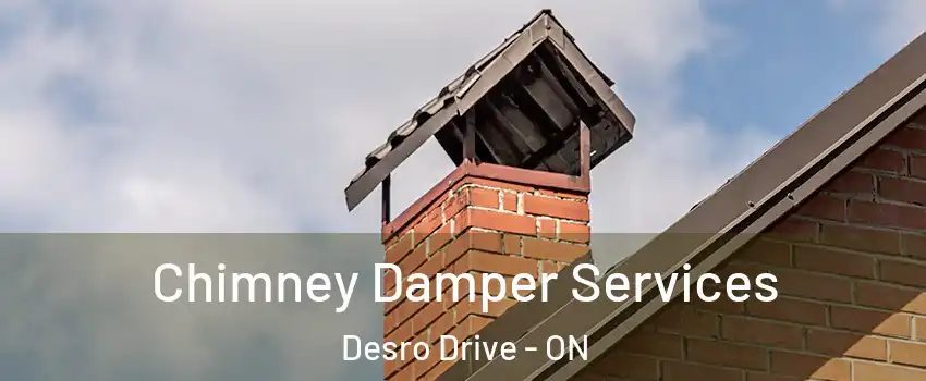 Chimney Damper Services Desro Drive - ON