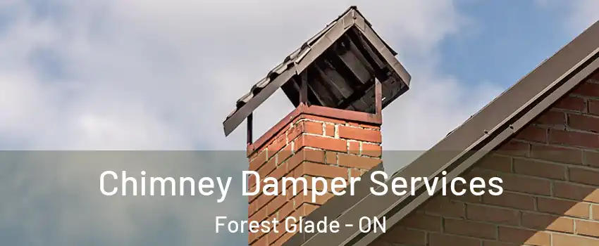 Chimney Damper Services Forest Glade - ON