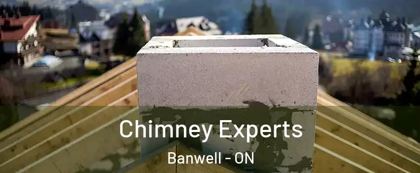 Chimney Experts Banwell - ON