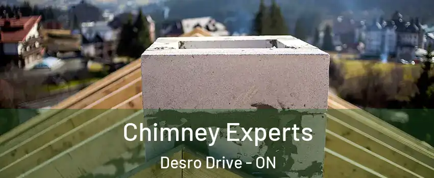 Chimney Experts Desro Drive - ON