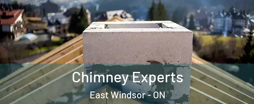  Chimney Experts East Windsor - ON