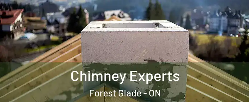 Chimney Experts Forest Glade - ON
