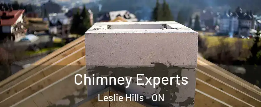  Chimney Experts Leslie Hills - ON