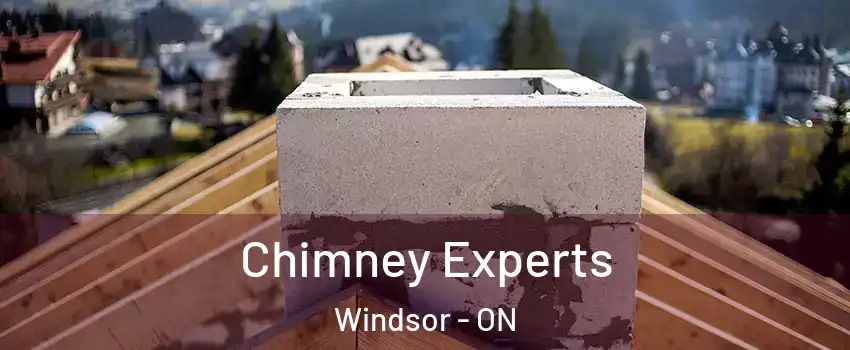 Chimney Experts Windsor - ON