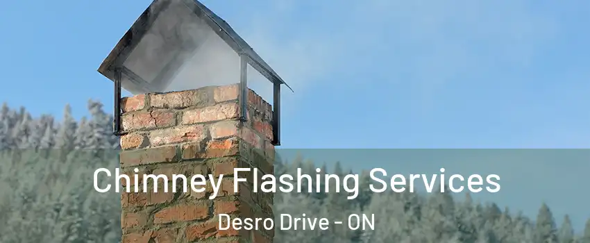  Chimney Flashing Services Desro Drive - ON