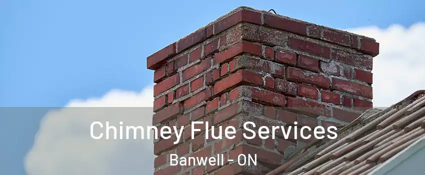  Chimney Flue Services Banwell - ON