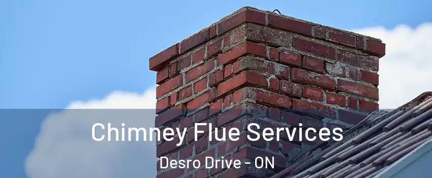 Chimney Flue Services Desro Drive - ON