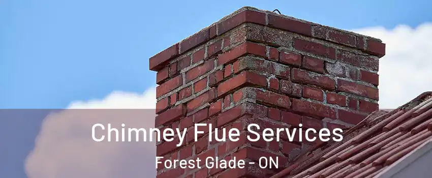 Chimney Flue Services Forest Glade - ON