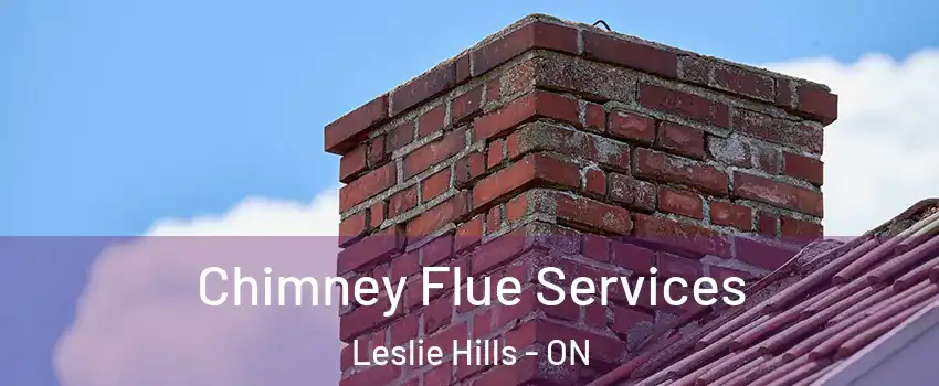  Chimney Flue Services Leslie Hills - ON