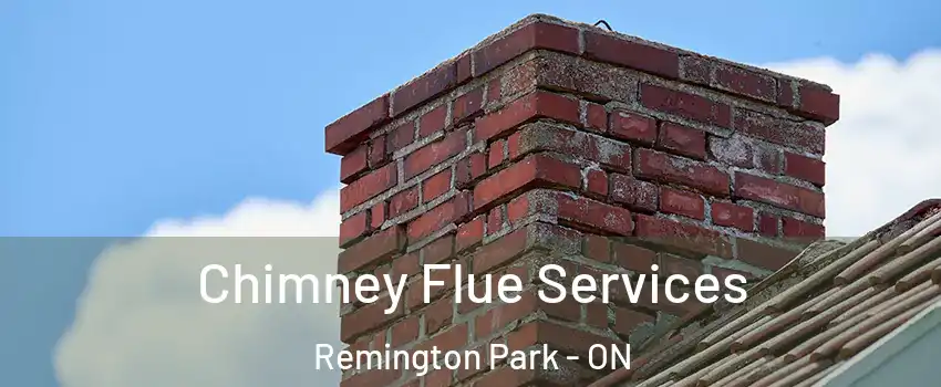 Chimney Flue Services Remington Park - ON