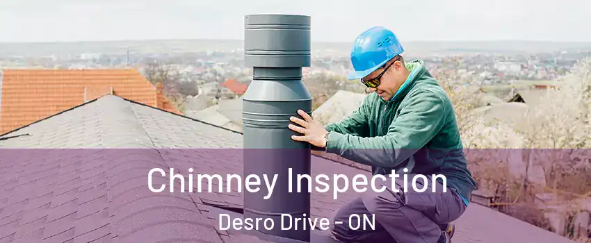 Chimney Inspection Desro Drive - ON