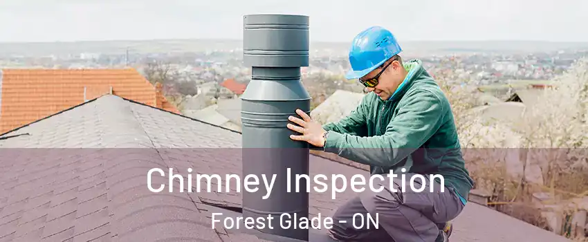 Chimney Inspection Forest Glade - ON
