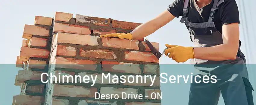  Chimney Masonry Services Desro Drive - ON