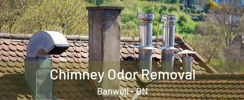 Chimney Odor Removal Banwell - ON