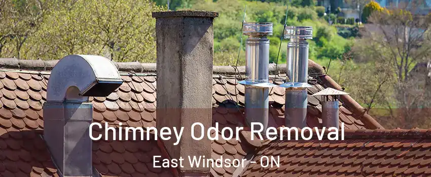 Chimney Odor Removal East Windsor - ON