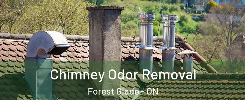 Chimney Odor Removal Forest Glade - ON