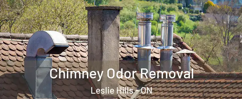 Chimney Odor Removal Leslie Hills - ON