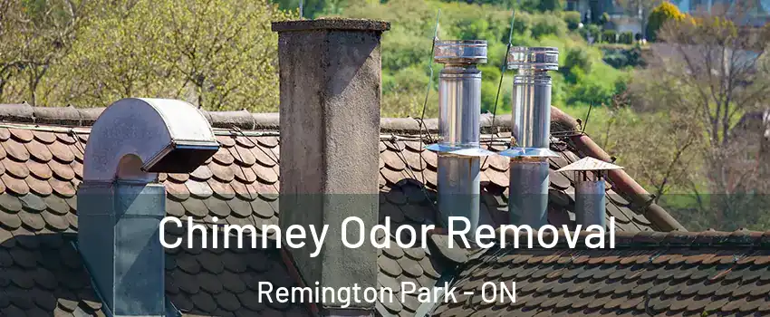  Chimney Odor Removal Remington Park - ON