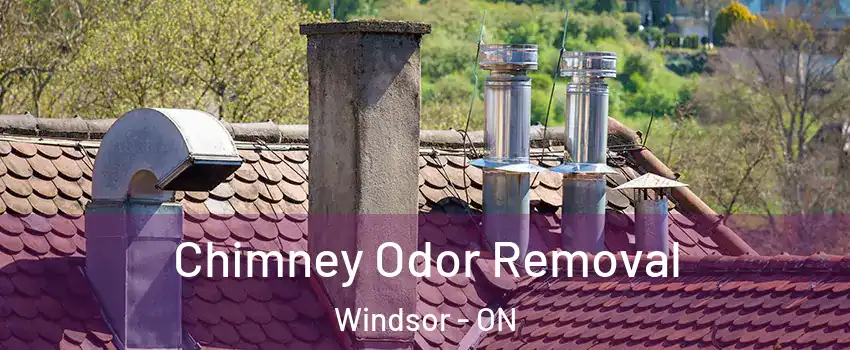 Chimney Odor Removal Windsor - ON