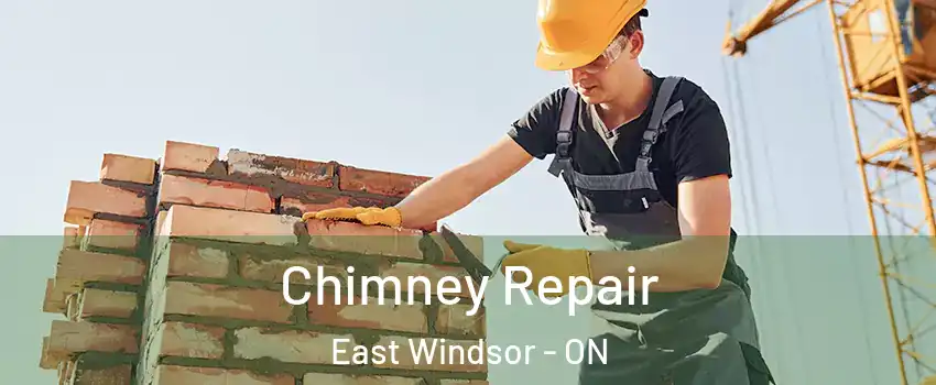  Chimney Repair East Windsor - ON