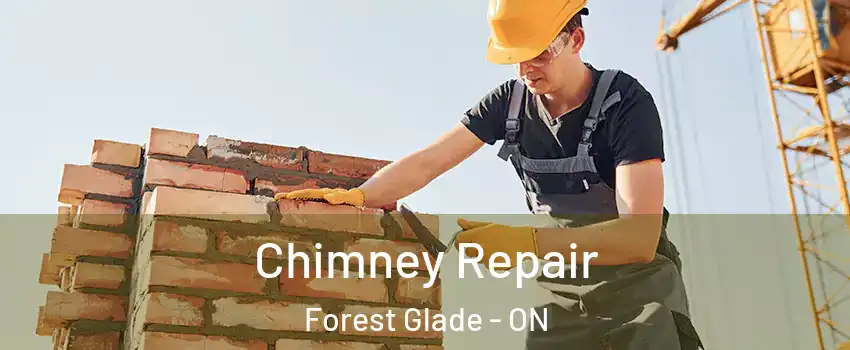  Chimney Repair Forest Glade - ON